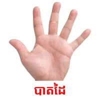 បាតដៃ picture flashcards