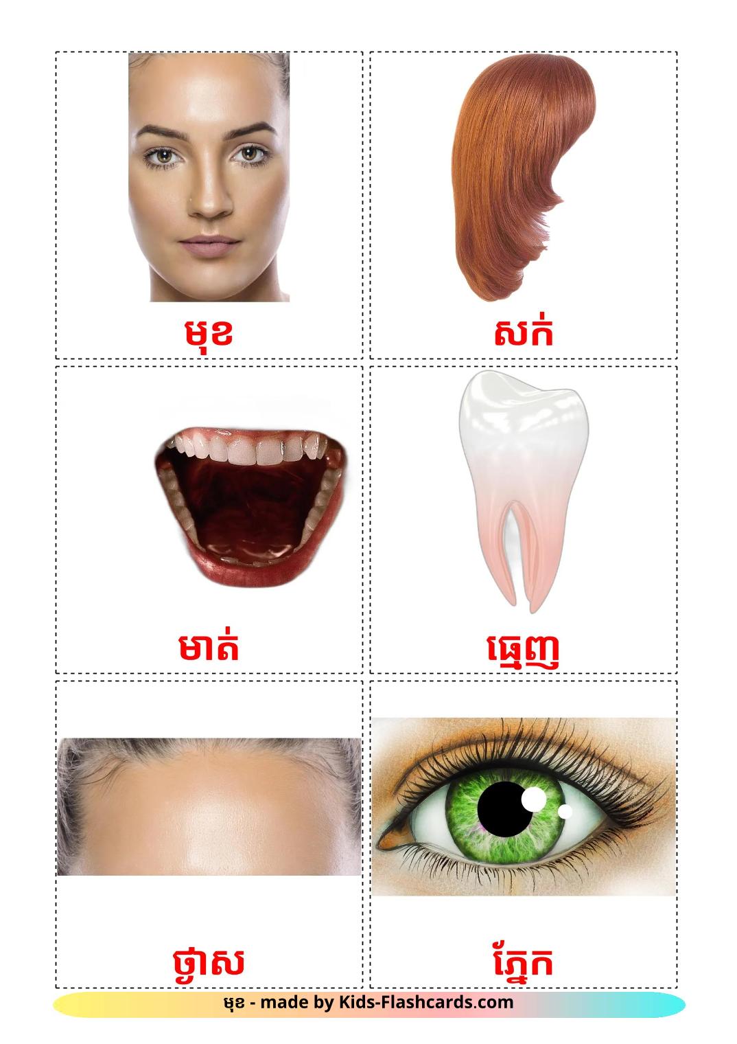 Face - 20 Free Printable khmer Flashcards 