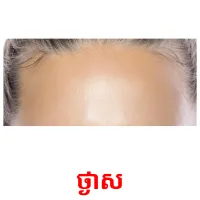 ថ្ងាស picture flashcards