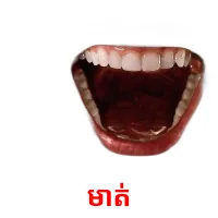 មាត់ picture flashcards