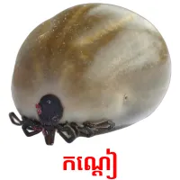 កណ្ដៀ picture flashcards