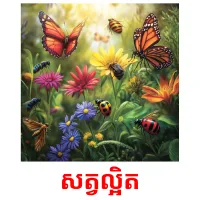 សត្វល្អិត picture flashcards