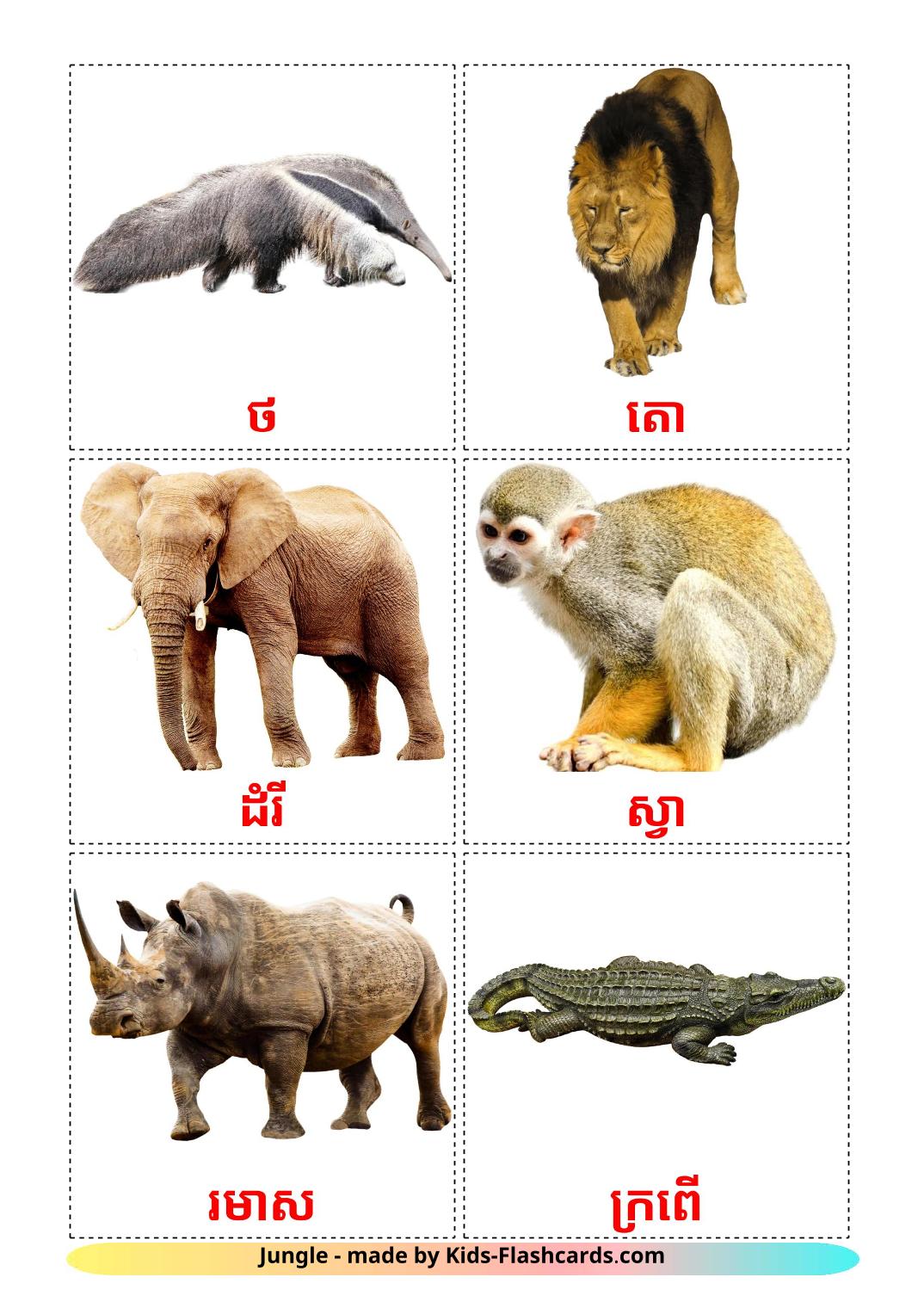 Животные африки - 21 Карточка Домана на кхмерском