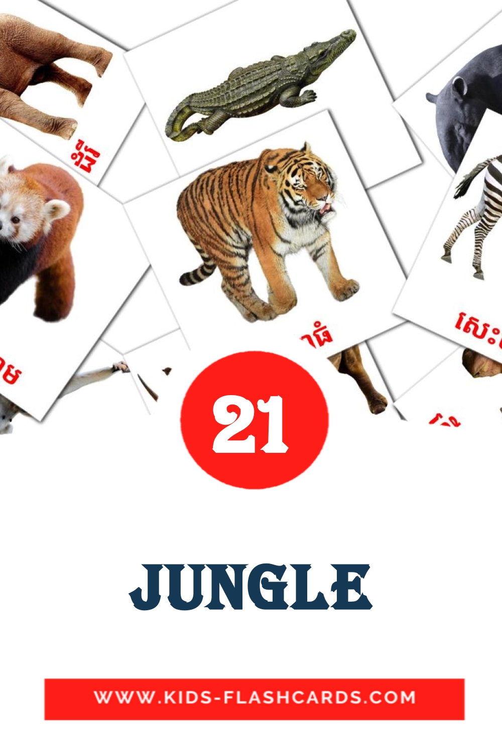 Jungle на кхмерском для Детского Сада (21 карточка)