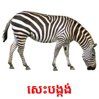 សេះបង្កង់ ansichtkaarten