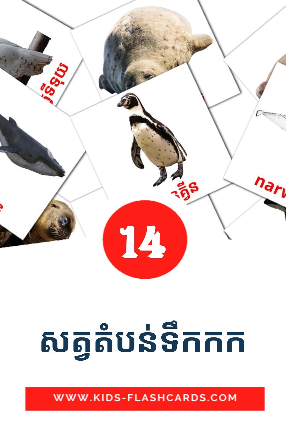 14 សត្វតំបន់ទឹកកក fotokaarten voor kleuters in het khmer