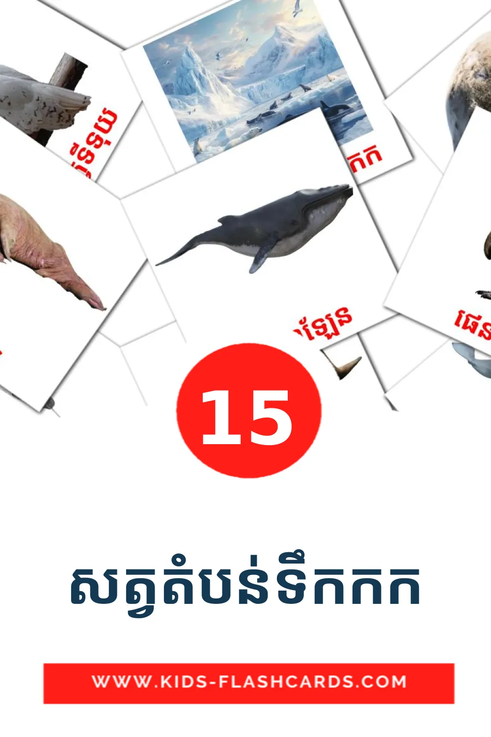 15 សត្វតំបន់ទឹកកក fotokaarten voor kleuters in het khmer