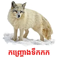 កញ្ច្រោងទឹកកក ansichtkaarten