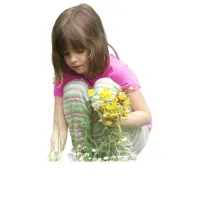 ​ picture flashcards