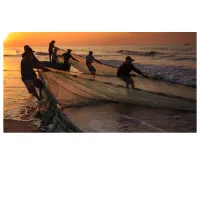 ​ picture flashcards