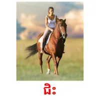 ជិះ picture flashcards