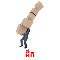 ដឹក picture flashcards