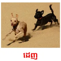 ដេញ picture flashcards