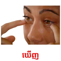 ឃើញ picture flashcards