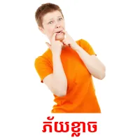 ភ័យខ្លាច picture flashcards