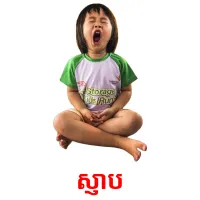 ស្ញាប picture flashcards
