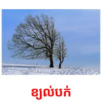 ខ្យល់បក់ picture flashcards