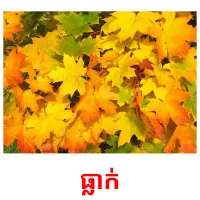 ធ្លាក់ picture flashcards