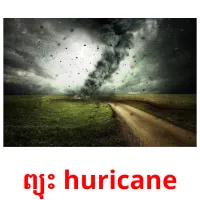 ព្យុះ huricane picture flashcards