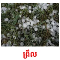 ព្រឹល picture flashcards