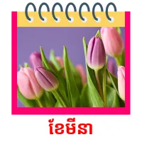 ខែមីនា Bildkarteikarten