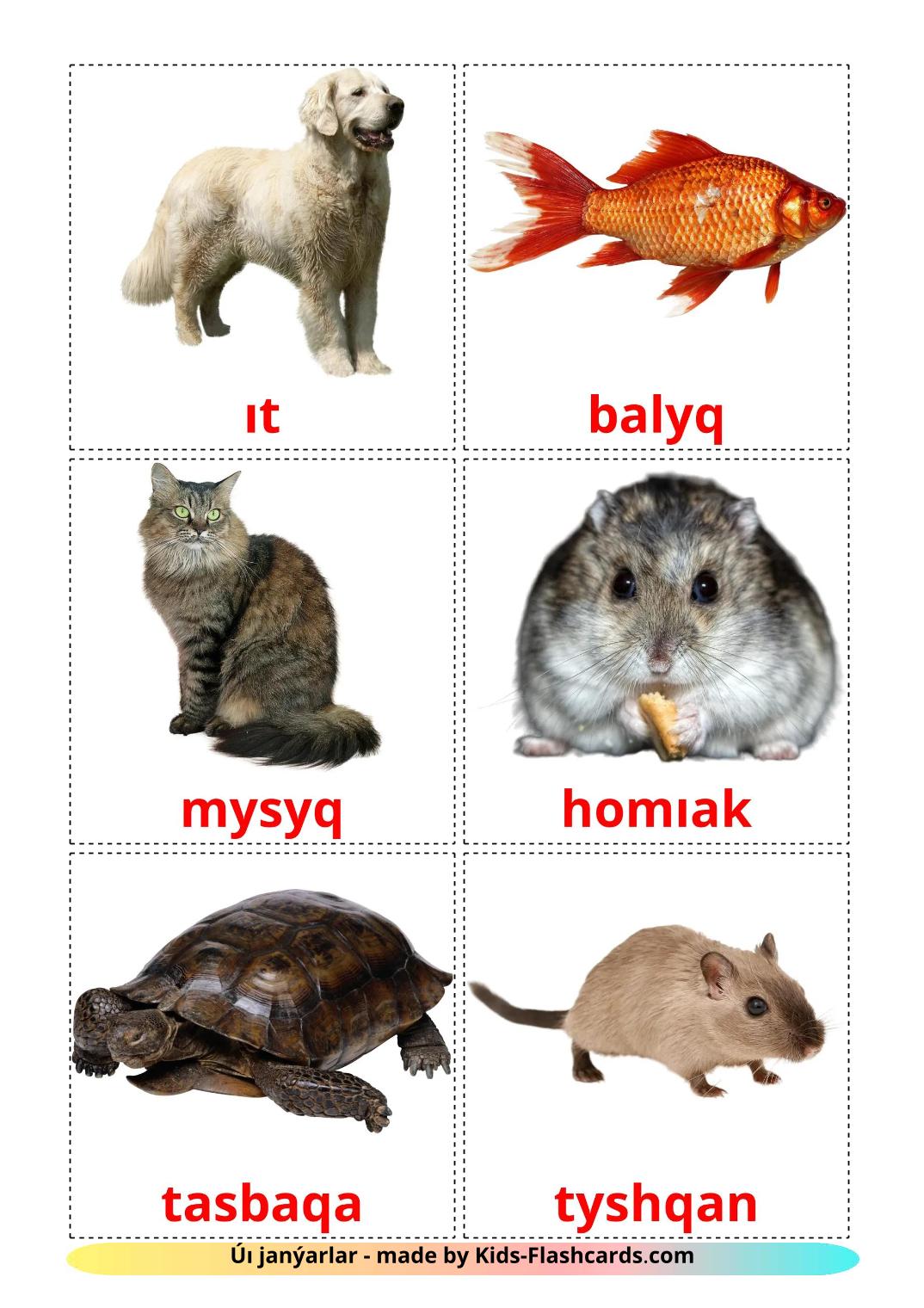 Animais Domésticos  - 11 Flashcards kazakh(latim)es gratuitos para impressão