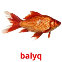 balyq cartões com imagens