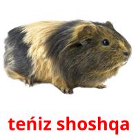 teńіz shoshqa card for translate