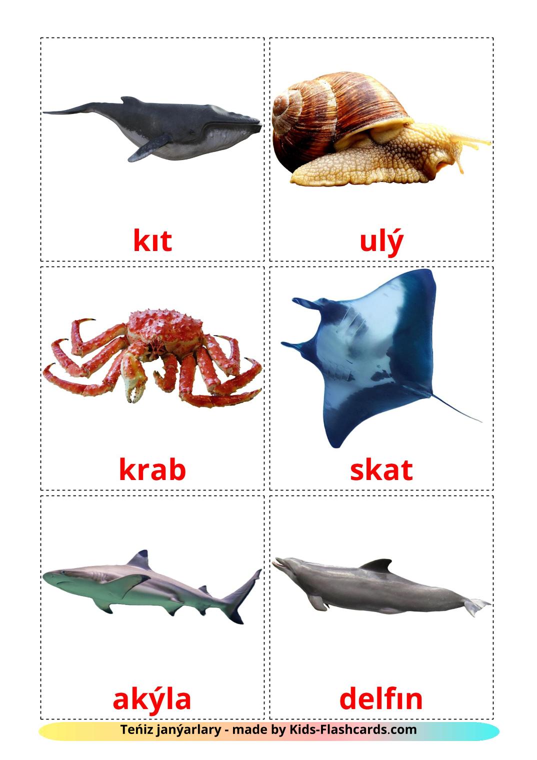 Sea animals - 29 Free Printable kazakh(latin) Flashcards 
