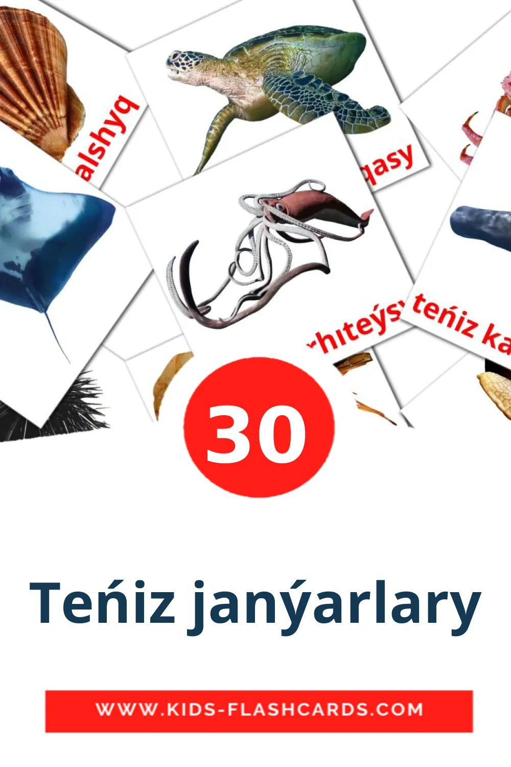 30 Teńіz janýarlary Picture Cards for Kindergarden in казахский(латиница)