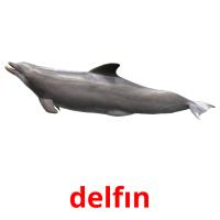 delfın picture flashcards