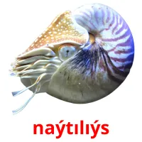 naýtılıýs picture flashcards