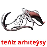 teńіz arhıteýsy picture flashcards