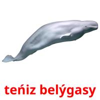 teńіz belýgasy card for translate