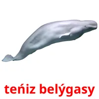 teńіz belýgasy picture flashcards