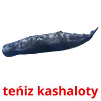teńіz kashaloty picture flashcards