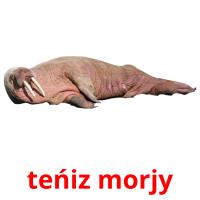 teńіz morjy card for translate