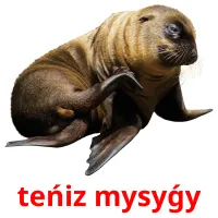 teńіz mysyǵy picture flashcards