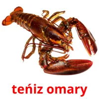 teńіz omary picture flashcards