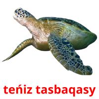 teńіz tasbaqasy card for translate