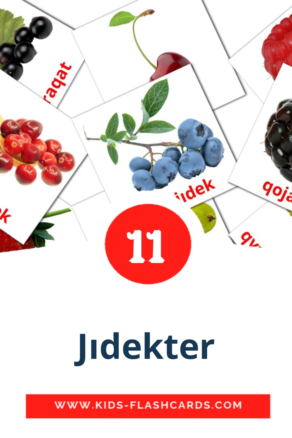 11 Jıdekter Picture Cards for Kindergarden in kazakh(latin)