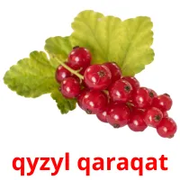 qyzyl qaraqat cartões com imagens