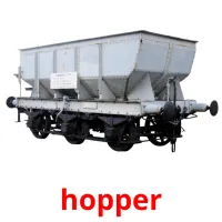 hopper flashcards illustrate