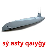 sý asty qaıyǵy Bildkarteikarten