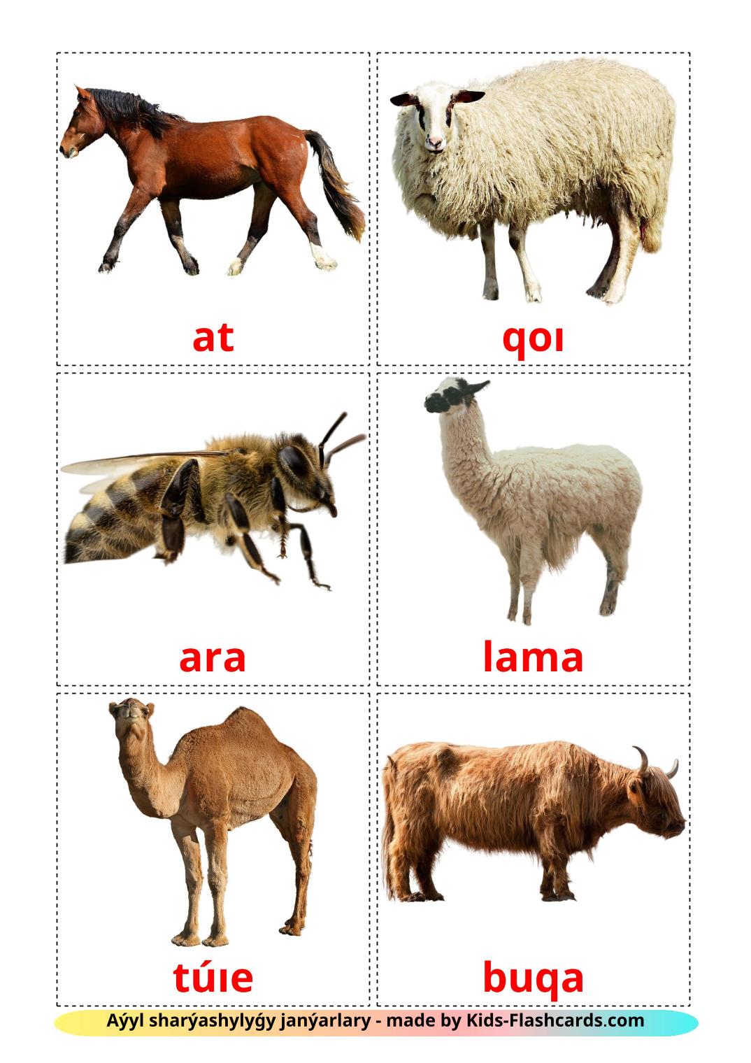 Animales en la Granja - 15 fichas de kazaj(latín) para imprimir gratis 