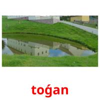 toǵan picture flashcards