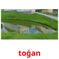 toǵan flashcards illustrate