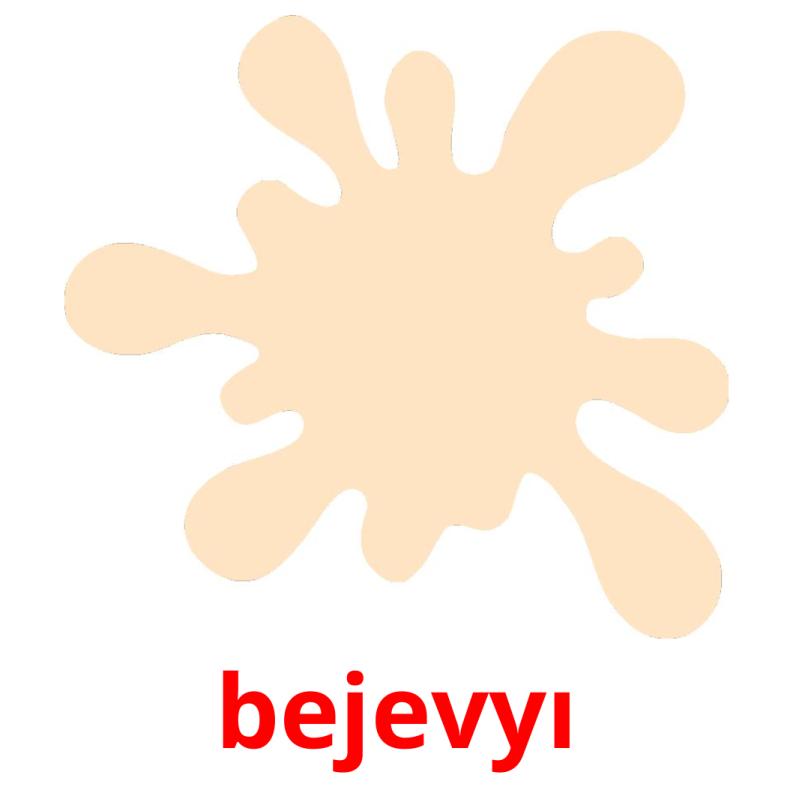 bejevyı picture flashcards