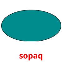 sopaq picture flashcards