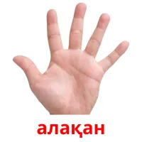 алақан picture flashcards